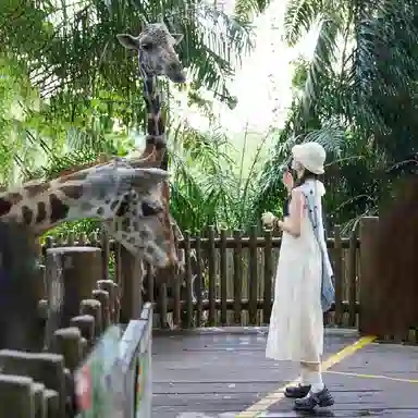 茵曼 纯色简约舒适无袖连衣裙 女款 梨花杏