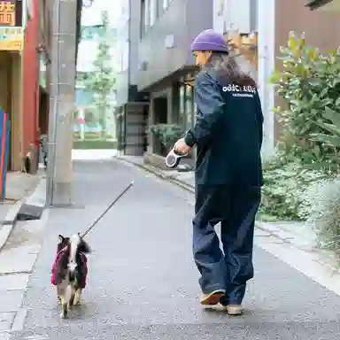 oddCIRKUS FW25 LOGOT