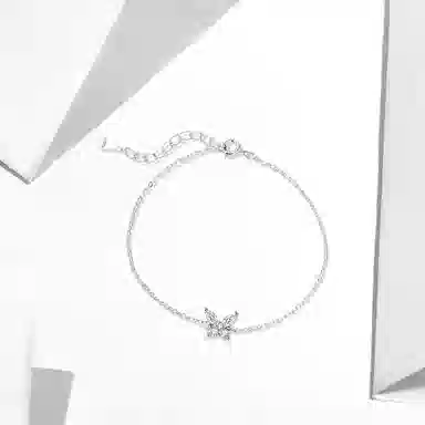 WANLIACC ins S925