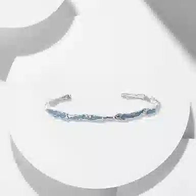 WANLIACC ins WHH20001A