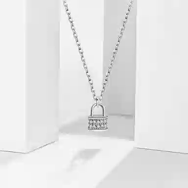 WANLIACC ins ins S925