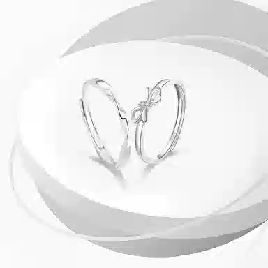WANLIACC S925