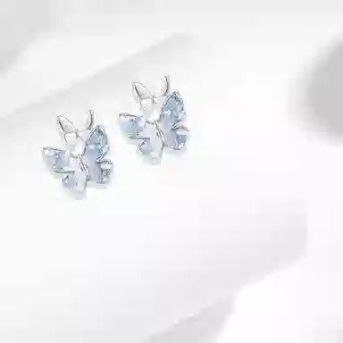 WANLIACC S925