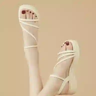 DAPHNE PU 5cm