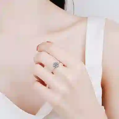 NVBBK S925