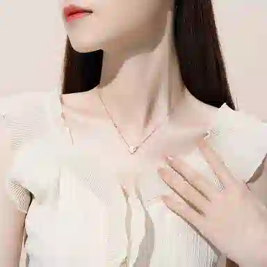 NVBBK ins