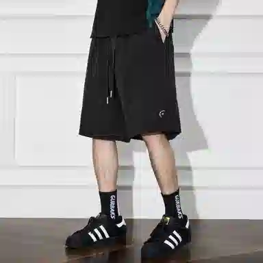 隐狼世家 夏季五分裤潮牌中腰休闲短裤 男款