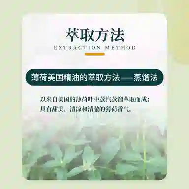 ABSOLUTE AROMAS10ml30ml