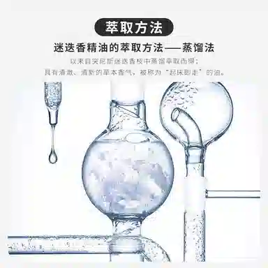 ABSOLUTE AROMAS10ml30ml