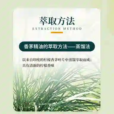 ABSOLUTE AROMAS10ml30ml