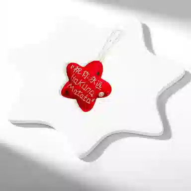 Hakuna Matata COPI DIY