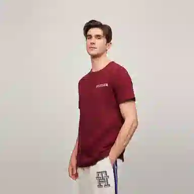 Tommy Hilfiger T