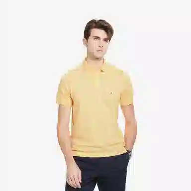 Tommy Hilfiger 1985 polo