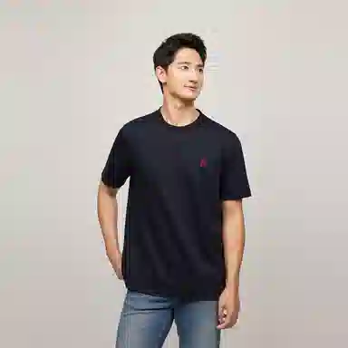 Tommy Hilfiger T