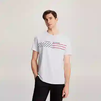 Tommy Hilfiger T
