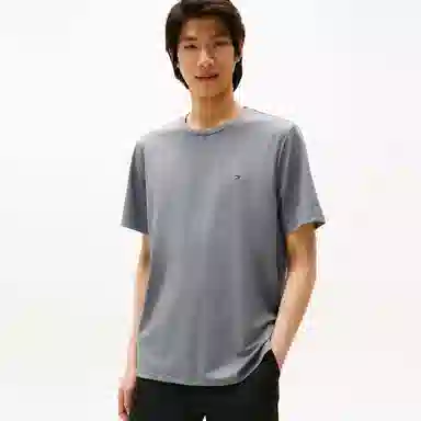 Tommy Hilfiger T