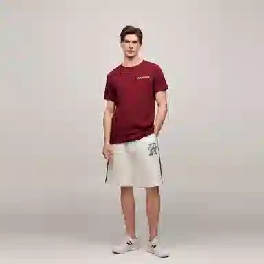 Tommy Hilfiger T