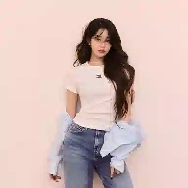 Tommy Hilfiger logo T