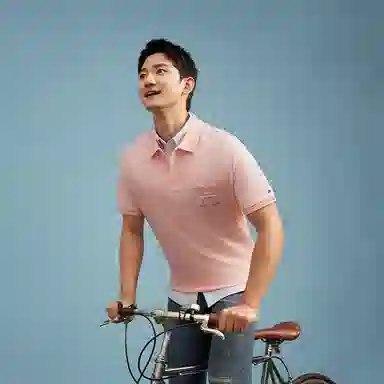 Tommy Hilfiger Polo