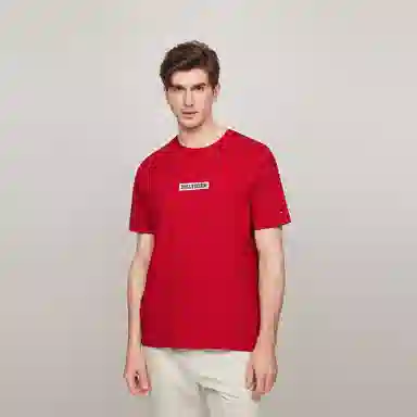 Tommy Hilfiger T