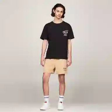 Tommy Hilfiger logo T