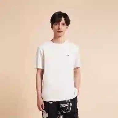 Tommy Hilfiger T
