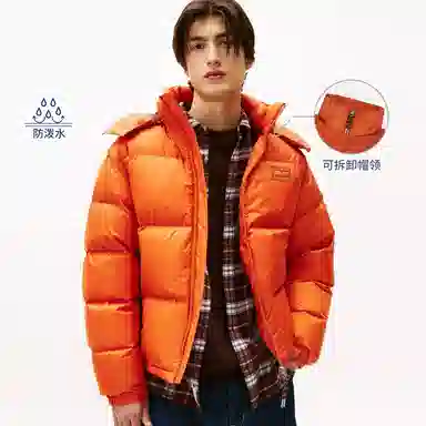 Tommy Hilfiger 90 Down Hoodie