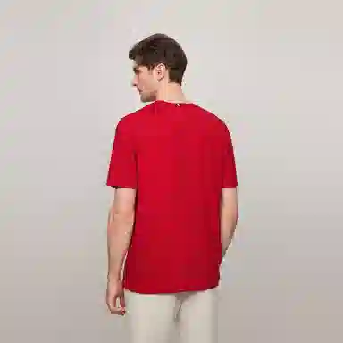 Tommy Hilfiger T