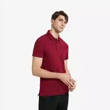 Tommy Hilfiger 1985 polo