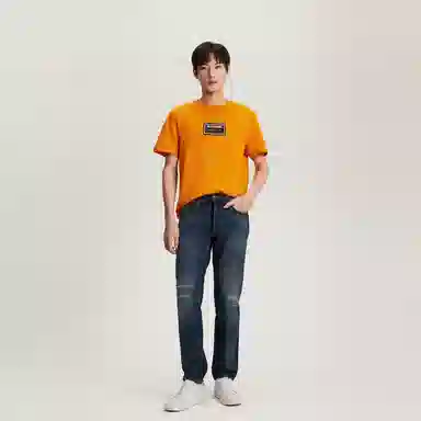 Tommy Hilfiger T