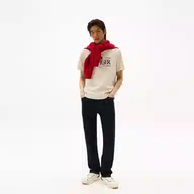 Tommy Hilfiger T