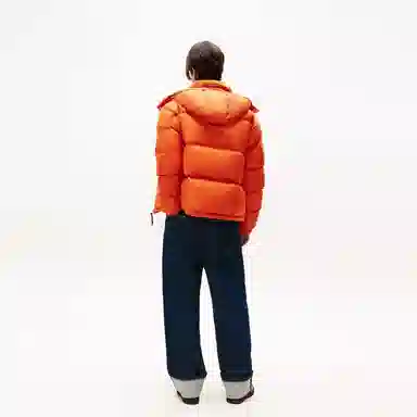 Tommy Hilfiger 90 Down Hoodie