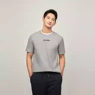 Tommy Hilfiger T