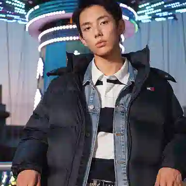 Tommy Hilfiger 90 Down Hoodie