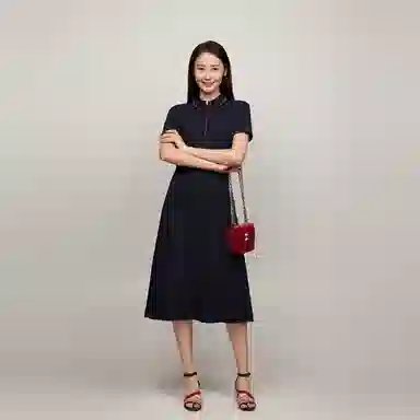 Tommy Hilfiger Polo Dress