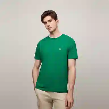Tommy Hilfiger LogoT