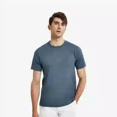 Tommy Hilfiger T
