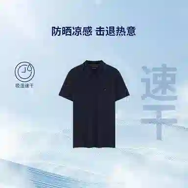 Tommy Hilfiger Polo
