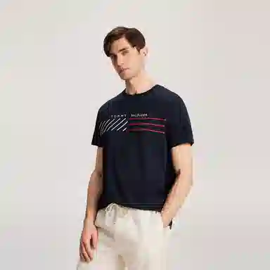 Tommy Hilfiger T