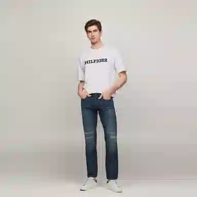 Tommy Hilfiger T