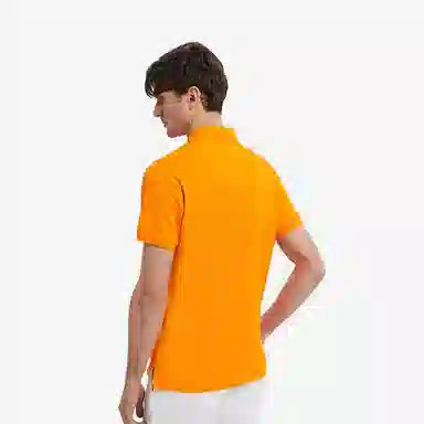 Tommy Hilfiger 1985 polo