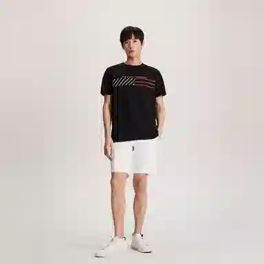 Tommy Hilfiger T