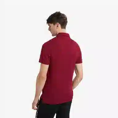 Tommy Hilfiger 1985 polo