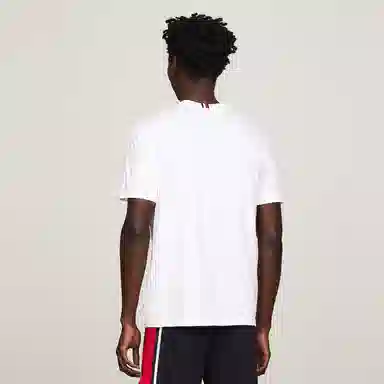 Tommy Hilfiger T