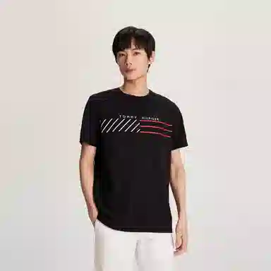 Tommy Hilfiger T