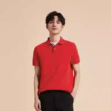Tommy Hilfiger Polo