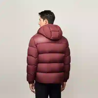 Tommy Hilfiger VLP