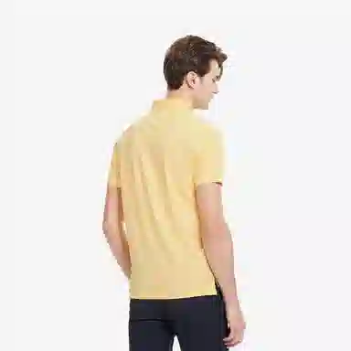 Tommy Hilfiger 1985 polo
