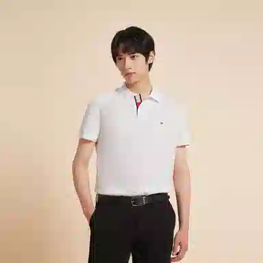 Tommy Hilfiger Polo
