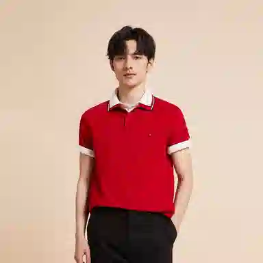Tommy Hilfiger Polo